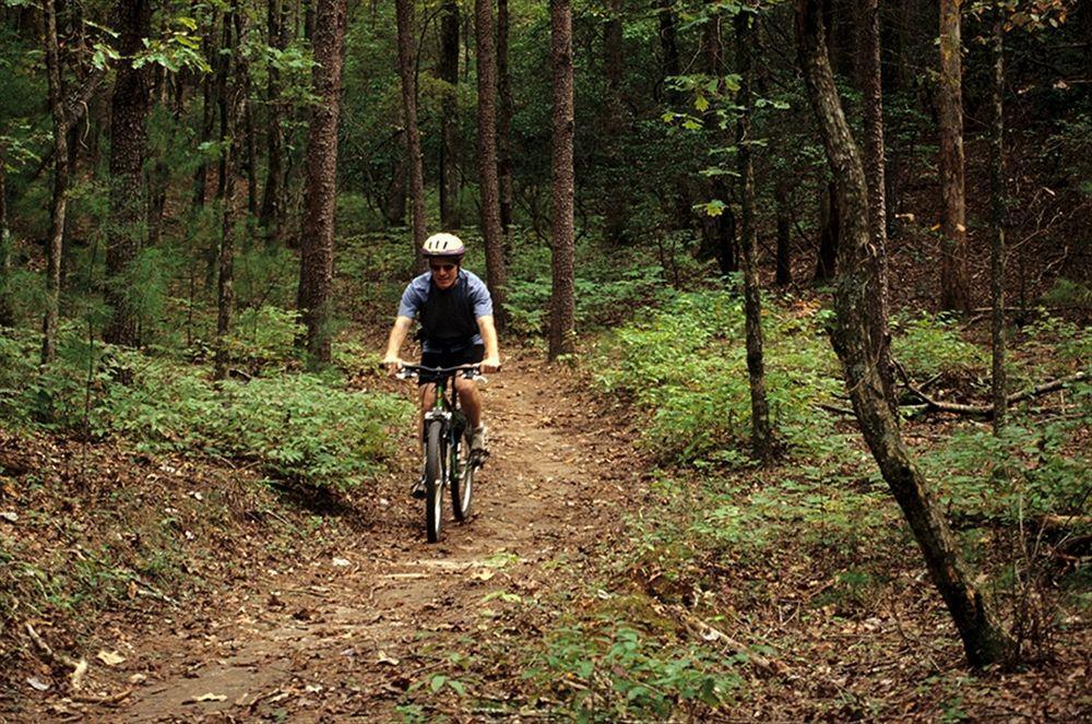 Unicoi State Park & Lodge Хелен Экстерьер фото